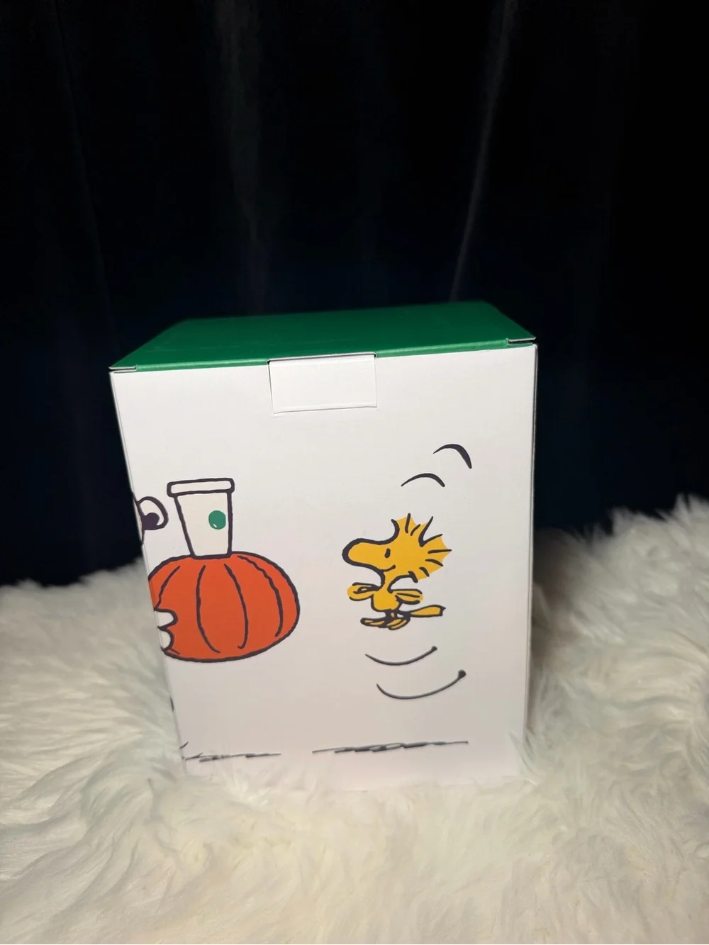 Starbucks Peanuts Snoopy Plush & Fall Tumbler Set